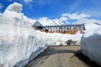 Manali (Roghtang Pass)